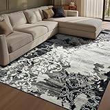CRYPTOLITE Abstract Area Rug 5x7 Washable Rug with Non-Slip Backing Low Pile Area Rug Area Rugs for Living Room, Bedroom, Dining Room, Black