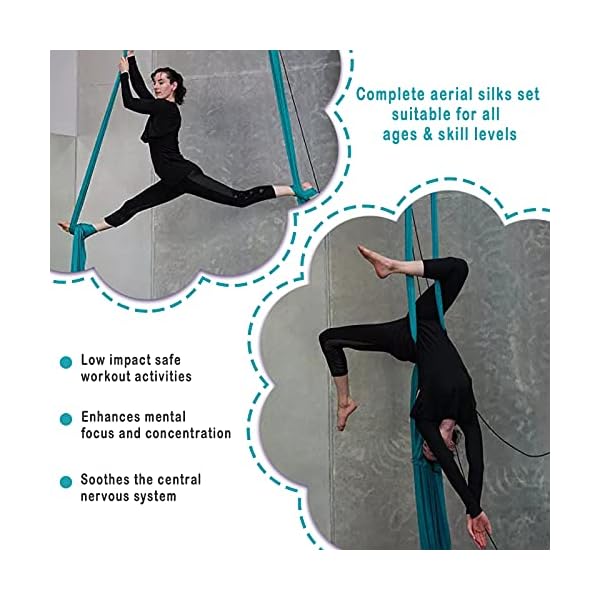 WWahuayuan-10M-Premium-Aerial-Silks-Equipment-Yoga-Pilates-Swing-Aerial-Yoga-Antigravity-Hammock-Trapeze-for-Acrobatic-DanceAir-Yoga-Aerial-Yoga-Hammock WWahuayuan 10M Premium Aerial Silks Equipment Yoga Pilates Swing Aerial Yoga Antigravity Hammock Trapeze for Acrobatic Dance,Air Yoga, Aerial Yoga Hammock (Blue)