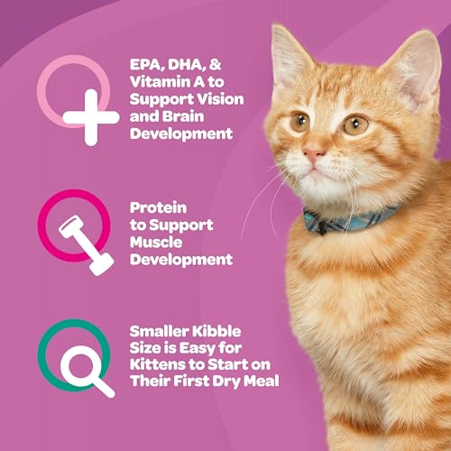 Image of 9Lives Kitten Essentials Chicken & Ocean Fish Dry Cat Food, 2.5lb Bag, Pack of 4