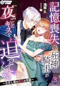 記憶喪失の死神騎士が夜ごとキスを迫ってくる～ただし彼は敵国の英雄～（３） (アマゾナイトノベルズ)