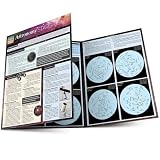 Astronomy: Stargazing: QuickStudy Laminated Reference Guide (Quick Study Academic)
