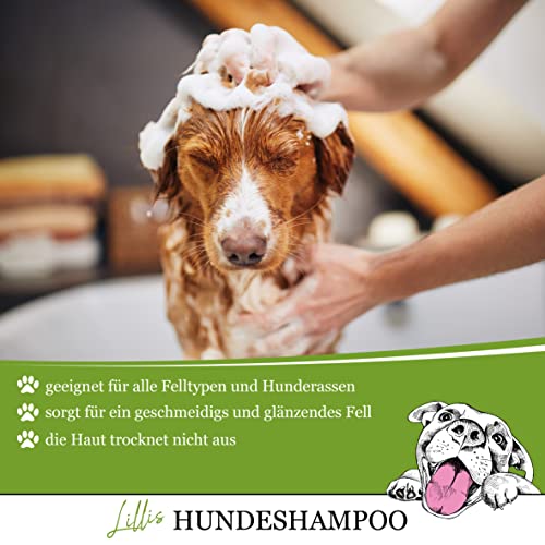 Lillis Hundeshampoo 500ml mit Teebaumöl gegen unangenehme Gerüche, hilft bei Juckreiz und Ungezieferbefall, für alle Hunderassen, für glänzendes Fell und gepflegte Haut, antibakteriell