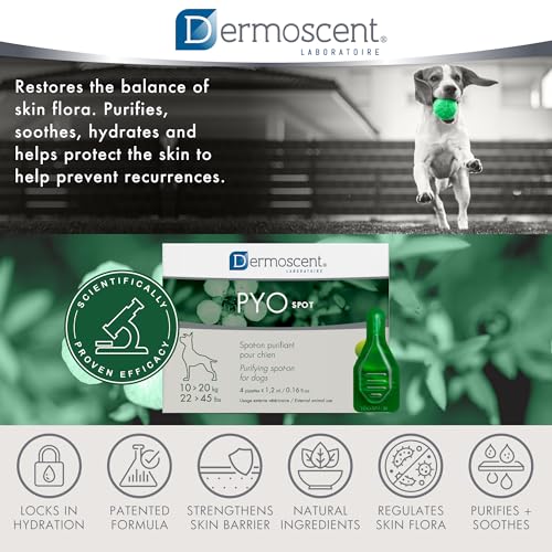 Pyo Spot Cane 10-20Kg - 9