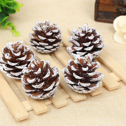 ENLACE 30 Stück Tannenzapfen, ca. 2-3cm, Klein Weihnachten Tannenzapfen mit Weißer Anstrich, Natur Kiefernzapfen Deko für Weihnachtsdeko DIY Handwerk Weihnachtsbaum Herbst Winter Dekoration – Bild 5