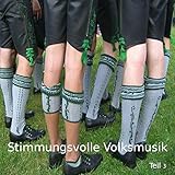  Schwalbenlied