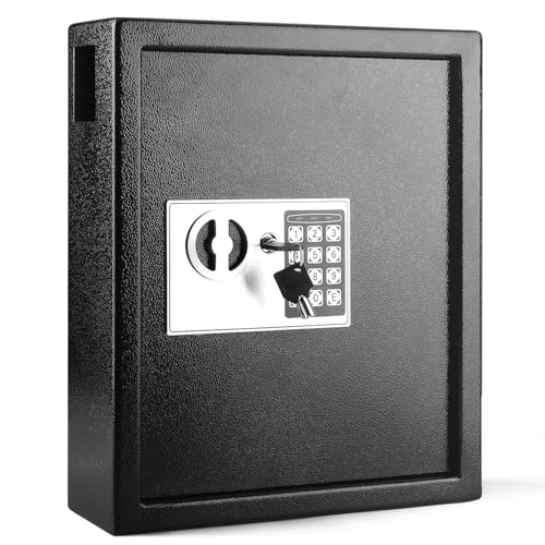 Flexzion Key Box Wall Mount With Code, Key Cabinet, Key Deposit Slot, 40 Key Holder Organizer Locker Case, Colored Key Tags Wall Mounted Lock Box For Keys Storage (Black)