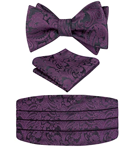 Image of Alizeal Mens Paisley Adjustable Bow Tie Set