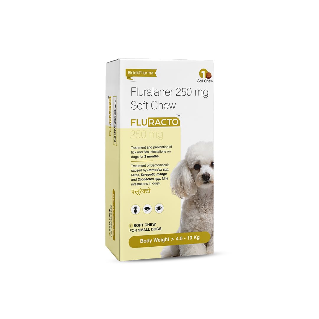 Fluracto Chewable Tablets for Dogs | Flea & Tick Control 250 mg-image-7