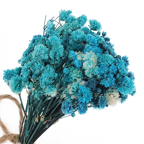 Bouquet Miniatura de Flores Secas para Decoración miniatura 6