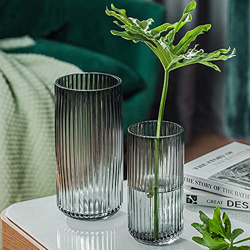 Muyan 7.5" Glass Vase For Flowers Vertical Striped Flower Vase Modern Desktop Decor Flower Arrangement Dried Flower Hydroponic Plant Home Office Dining Living Room Wedding #TOP5