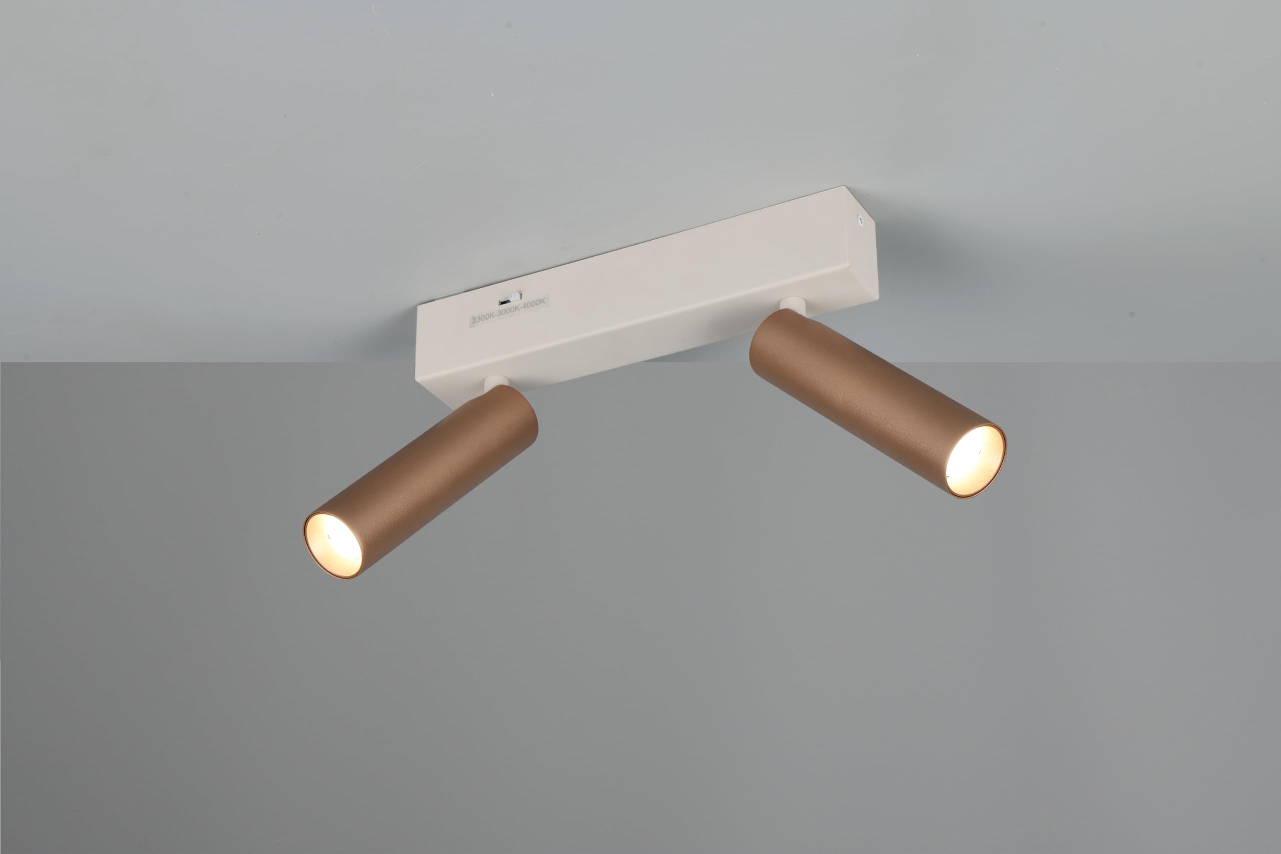 Trio Leuchten LED Strahler Ambala 849210265, Metall Warm Grey/Coffee, 2x 5.5 Watt LED, Lichtfarbe einstellbar, Switch Dimmer |
