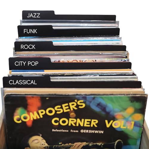 Intercalaires vinyles MayRecords lot de 30 noirs double face 32 cm pour ranger vos disques et DVD