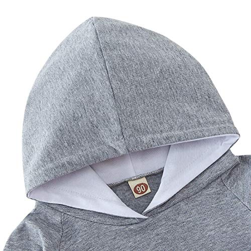 Toddler Infant Baby Boy Girl Clothes Stripe Gray Hoodie Sweatshirt and Pants Spring Fall Outfits Set 18-24 Months Hooded Pullovers with Pockets - Thumbnail 5