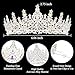 CIEHER Crystal Crown Tiara for Women Silver AB Rhinestones Princess Queen Crowns for Wedding Birthday Prom Pageant Party