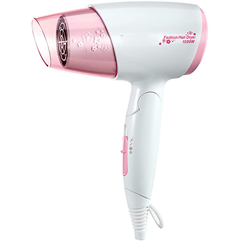 Secador de pelo chica modelos casa barbería no hace daño a los estudiantes  de dormitorio silencioso negativo iones baja potencia : Amazon.es: Hogar y  cocina
