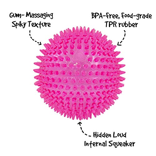Gnawsome™ 4.5” Spiky Squeaker Ball Dog Toy - Extra Large, Cleans Teeth And Promotes Good Dental And Gum Health For Your Pet, Colors Will Vary #TOP2