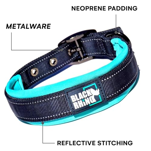 Black Rhino - Das Comfort Halsband Super Weiches Neopren Gepostertes Hundehalsband für alle Hunderassen - Hochbeanspruchbar Verstellbar Reflektierend Wetterfest (Mittel, Aqua/Grau)