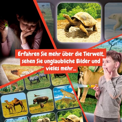 Science4you Tier Taschenlampe für Kinder ab 4+ Jahren - Tierspielzeug: Projektor Lampe mit 24 Bilder und Tier Poster - Tier Geschenk, Wissenschaftliches und Lernspielzeug für 4+ Jähren
