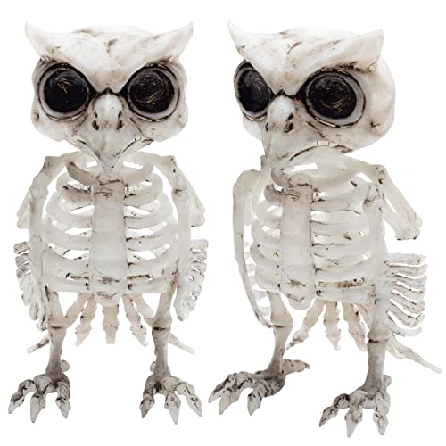 SCS Direct Owl Skeleton Halloween Decoration (2 Pack) - 6.5"