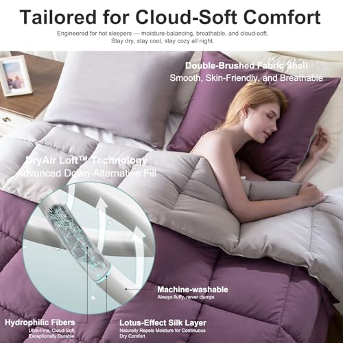 Image of KASENTEX Queen Comforter Set, Reversible,Goose Down Alternative,All Season | 250 GSM Fill, Ultra-Soft, Lightweight, Machine Washable, 1 Comforter + 2 Pillow Shams, Grape Jam /Gull