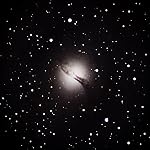 Review Image by luis pena garcia luis pena garcia