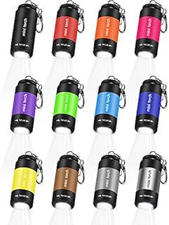 12 Pieces Mini Keychain Flashlight, USB Torch Rechargeable Colorful LED Flashlight High-Powered Keychain Lamp, Multicolor (White Light)