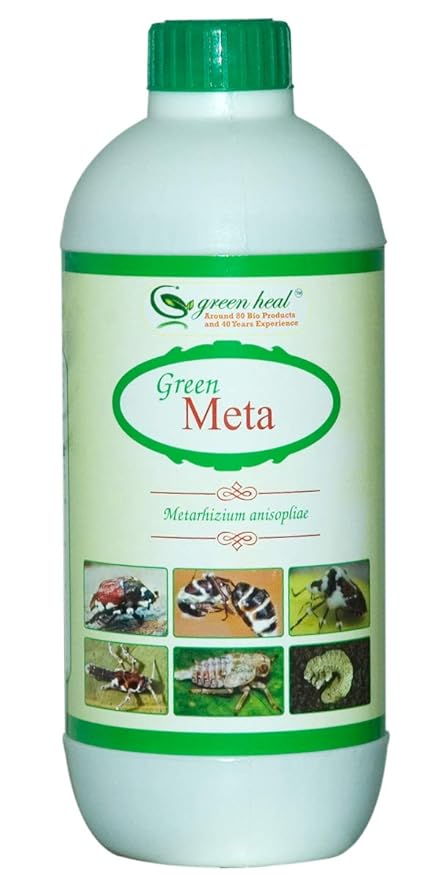 Green Heal - Meta - Metarhizium Anisopliae - Bio Insecticide (1 Liter)