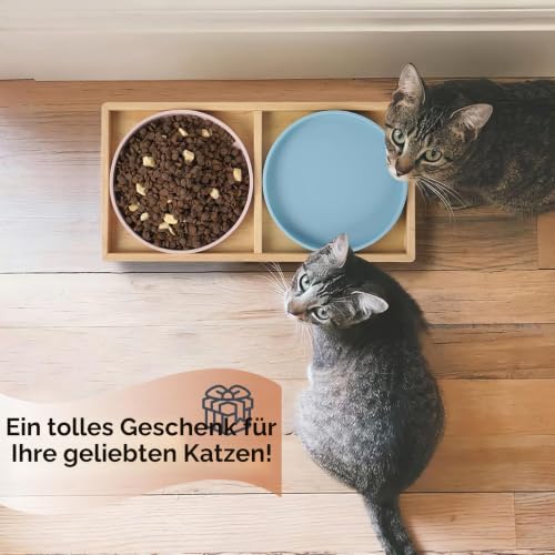 JAZUIHA Katzennapf Flach Erhöht mit 2X 18cm Schalen Schnurrhaarfreundlich