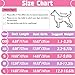 4 Pieces Ddog Shirt Girl Dog Clothes Summer Puppy Clothes for Chihuahua Yorkie Soft Cute Patter Pet Cat Clothing Pink Rose Red Green XS
