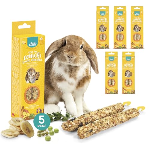 Best Friend - Snack Naturali Cotti al Forno per Conigli, Cavie e Cincillà. Gustosi stick e ricchi di vitamine con legno di betulla per denti sani | Banana ed Erba Medica, 5 Pack x 115 g