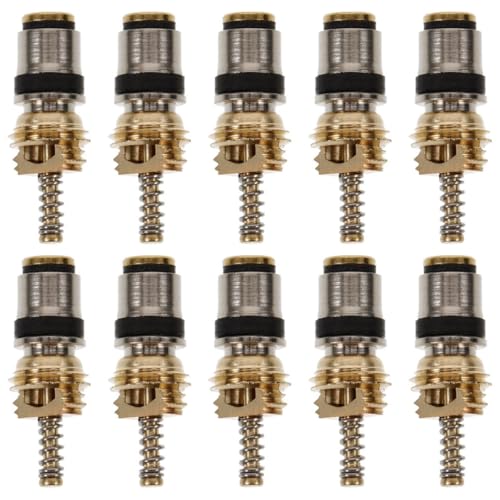 SHINEOFI 10pièces Kit Noyaux Valve Climatisation Cuivre pour Voiture Compatible Système Ac Contrôle Précis Haute et Basse Pression Installation Facile