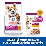 Hill's Small and Miniature Adult Hundefutter 3 kg, 1 x 3 kg