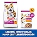 Hill's Small and Miniature Adult Hundefutter 3 kg, 1 x 3 kg