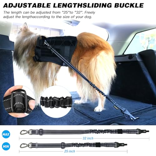 AUBELL Anschnallgurt Hund Auto,Einstellbar Haustier Auto sicherheitsgurt für Hunde, Bungee Hunde Anschnallgurt Geschirr Tether mit Clip Haken-Verschluss & Schnalle, Swivel Karabiner,Schwarz