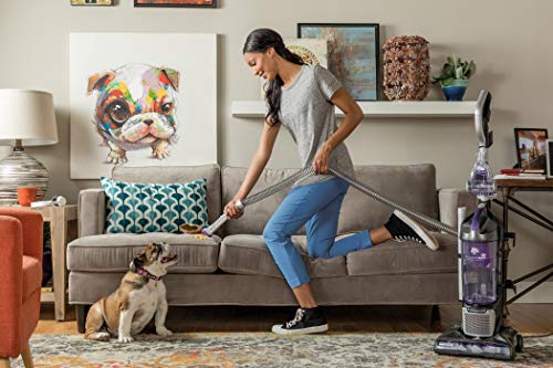 Aspiradoras, Home aspiradora dirt devil Marca Dirt Devil (3)