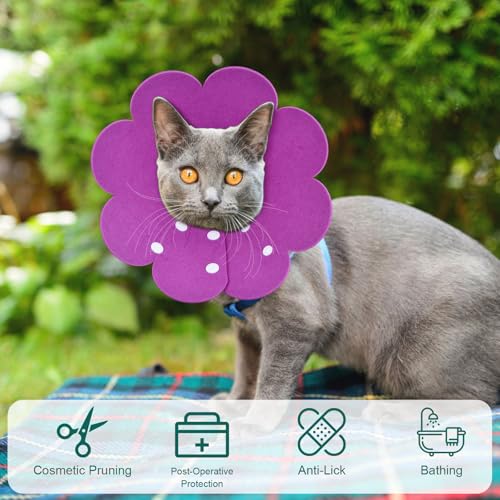 Amexo 3 Stücke Katze Schutzkragen Soft Halskrause Katzen Halsband Anti Biss Halskragen Katze Schützender Kragen für Katzen Welpen M (Rosa, blau, lila, M)