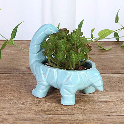 Vanenjoy 6 Inch Cute Cartoon Dinosaur Shape Ceramic Succulent Planter, Water Culture Hydroponics Bonsai Cactus Flower Pot,Air Plant Vase Holder Desktop Decorative Organizer (Supersaurus, Blue) #TOP5
