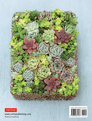 Container Succulents: Creative Ideas For Beginners #TOP1