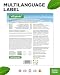 vit4ever Glucosamin HCL Pure - 1000 g (1 kg) reines Pulver ohne Zusätze - Aus pflanzlicher Fermentation - Laborgeprüft - Vegan - Hochdosiert - Premium Qualität