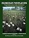 Florida's Wetlands (Florida's Natural Ecosystems and Native Species)