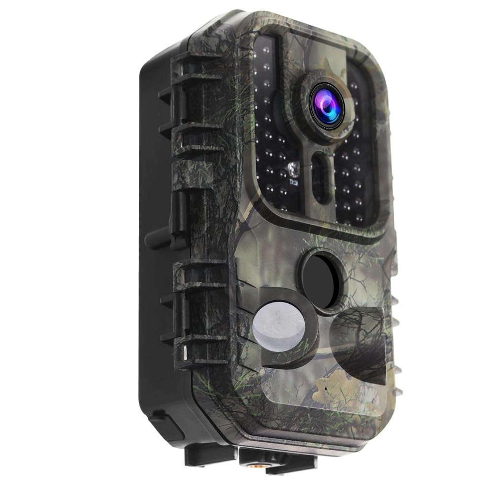 Caméra de surveillance extérieure 4K pour suivi de la faune sauvage avec vision nocturne HD