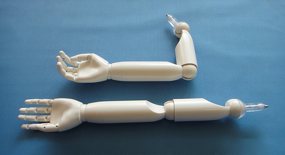 LVLDAWA Bras De Mannequin En Bois Mâle/femelle Avec Articulations Flexibles Pour Vitrine De Magasin De Vêtements (G