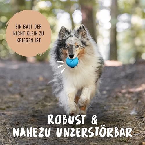 Rudelkönig Hundeball aus Naturkautschuk - Blauer Ball mit 6,5cm Ø - Nahezu unzerstörbares Hundespielzeug - Ball Hund