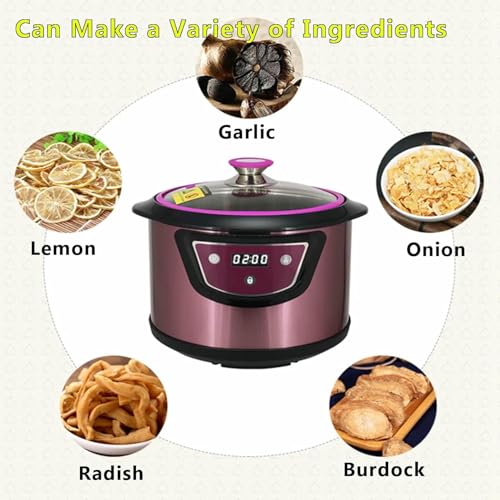 Fermenteur d'ail noir 6L machine automatique pour natto et yaourt