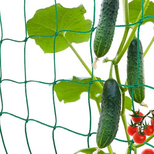 Premium Ranknetz mit 10cm Maschenweite für Kletterpflanzen Spalier Rankgitter Pflanzennetz Wachstum von Tomaten Gurken Optimale Rankhilfe Netz für Garten Gewächshaus (Grün, 2m x 2.5m)