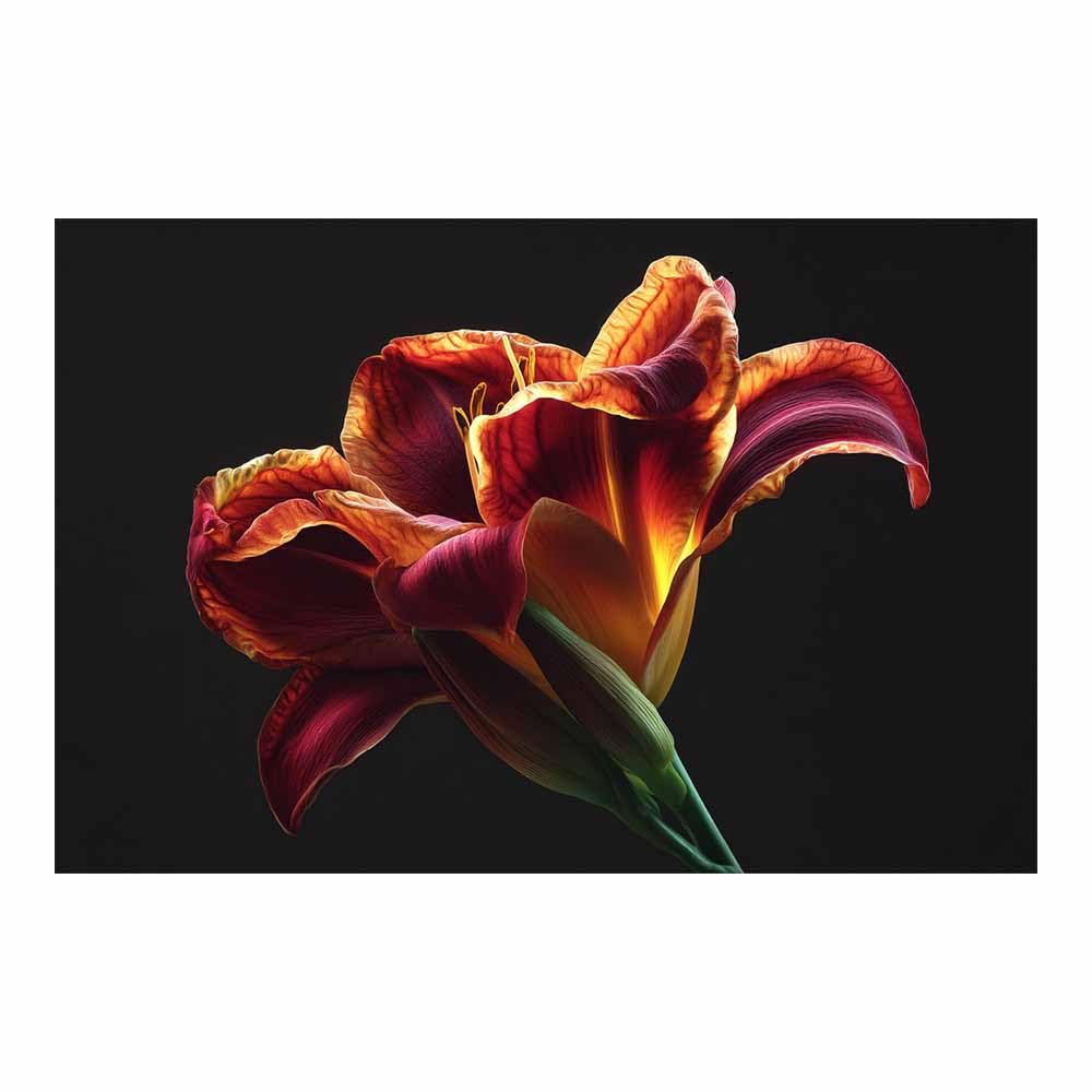 ZAMAEIU Landscape Canvas Painting Curled-petal Flower Wall Decor, Modern Artwork, For Bedroom Living Room Bathroom Home Office Room Decorations(red)-50x70cm Unframed