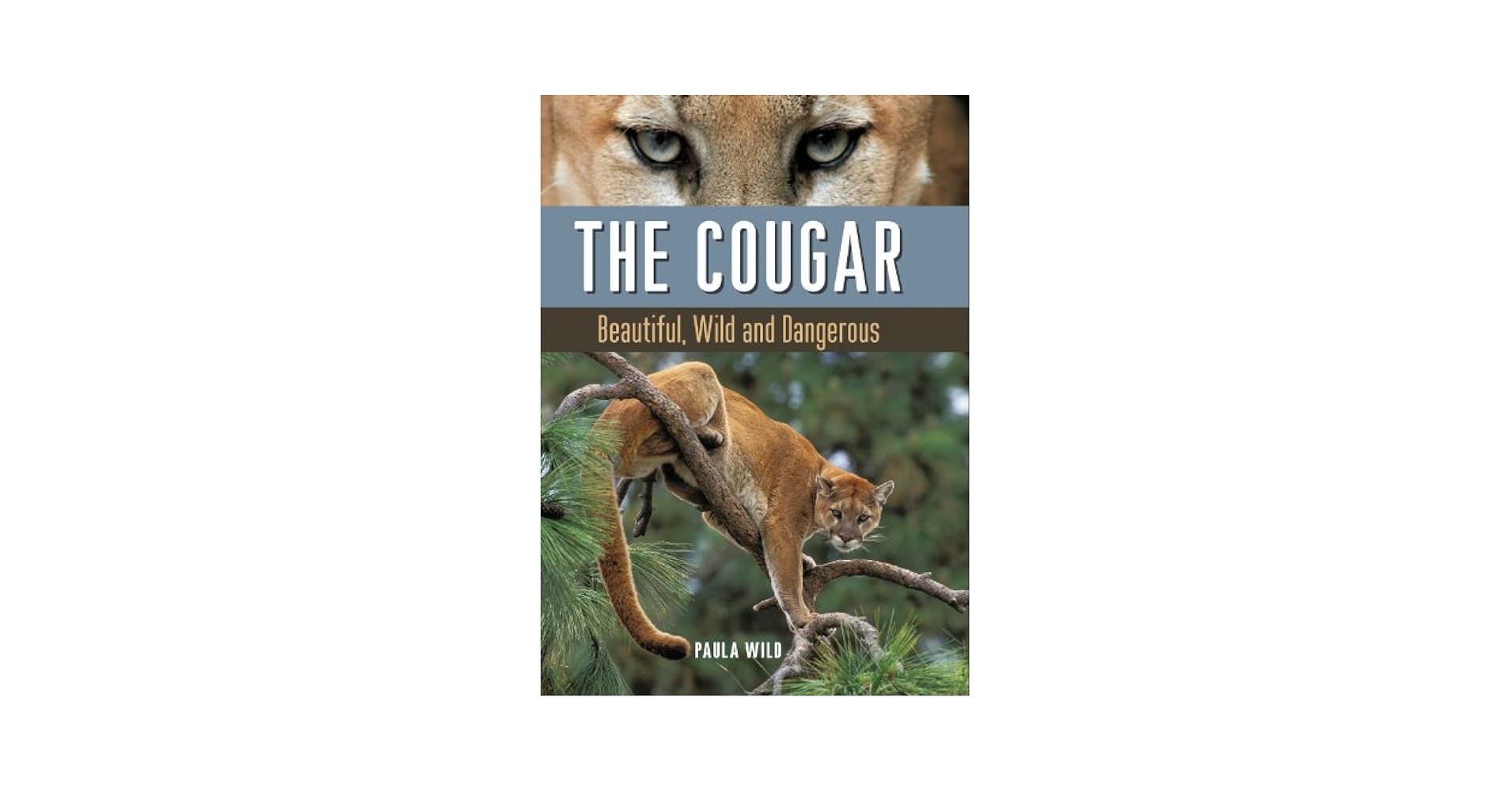 The Cougar: Beautiful, Wild and Dangerous: Wild, Paula