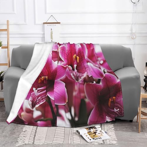 Couverture polaire flanelle lit plaid peluche rose pour canapé et fauteuil