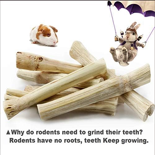 Miniatura 5 de Juguetes masticables de conejo de 5.29 oz, golosinas de conejo hechas de bambú dulce, conejillo de indias para mantener los dientes limpios y encías
