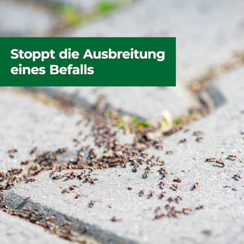 PROTECT HOME Ameisen & Milben Blocker, insektizidfreies, natürliches Ameisenmittel gegen Ameisen auf Wegen, Plätzen, Terrassen, in Beeten oder im Rasen, 200 g Dose